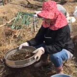 硬い土を柔らかく蘇らせるには、まず小石を取り除く