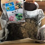 コーヒーかすでオーガニック肥料