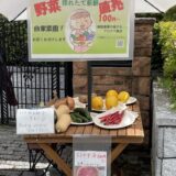 野菜直売