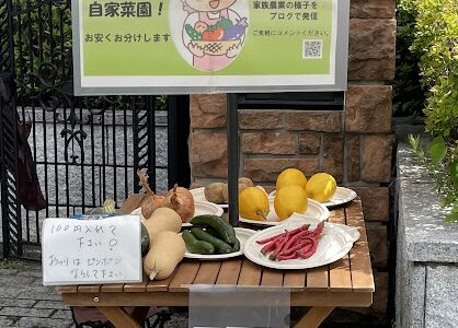 兵庫県三田市で家族農業…ニュータウンで夏野菜直売